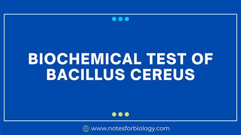 bacillus biochemical test|Biochemical Test of Bacillus cereus .